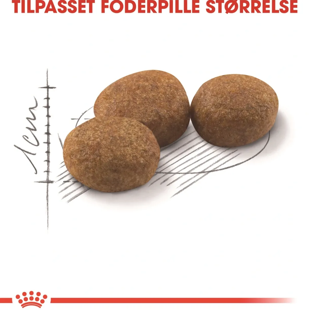 Clearance Royal Canin Regular Sterilised 10 kg Kattefoder & Snacks