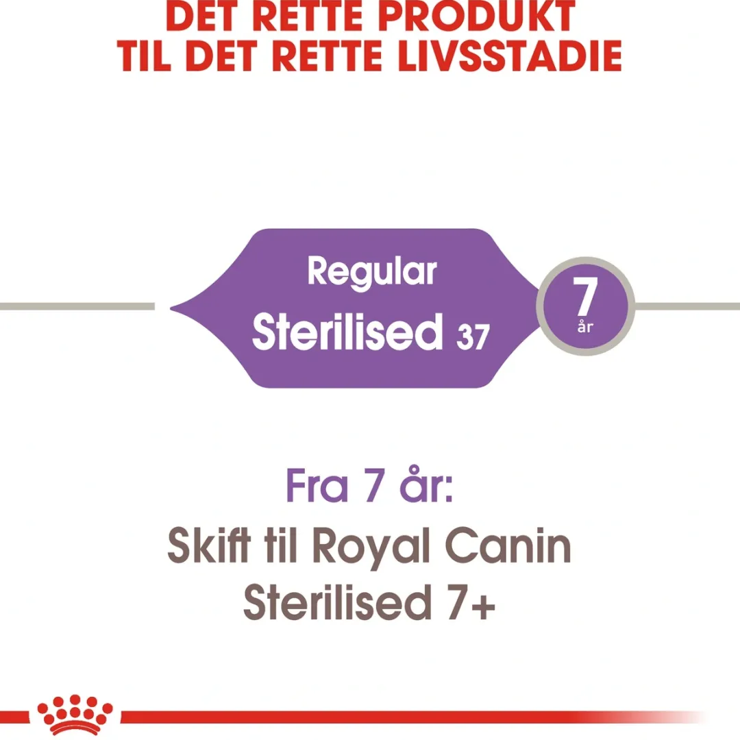 Clearance Royal Canin Regular Sterilised 10 kg Kattefoder & Snacks