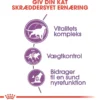 Hot Royal Canin Regular Sterilised +7 10 kg Kattefoder & Snacks