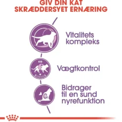 Hot Royal Canin Regular Sterilised +7 10 kg Kattefoder & Snacks