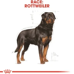 Sale Royal Canin Rottweiler Adult 12 kg - tørfoder til voksne hunde Hundefoder|Tørfoder Til Hunde I Alle Størrelser Og Aldre