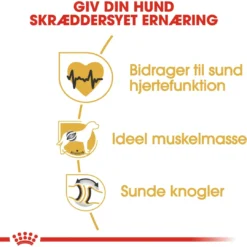 Sale Royal Canin Rottweiler Adult 12 kg - tørfoder til voksne hunde Hundefoder|Tørfoder Til Hunde I Alle Størrelser Og Aldre
