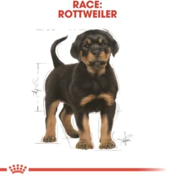 Outlet Royal Canin Rottweiler Puppy 12 kg - tørfoder til hvalpe Hundefoder|Tørfoder Til Hunde I Alle Størrelser Og Aldre