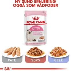 Hot Royal Canin Second Age Kitten 400 g Killingefoder - Sundt Kattefoder Til Killinger I Alle Racer|Kattefoder & Snacks