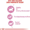 Best Royal Canin Second Age Kitten 4 kg Killingefoder - Sundt Kattefoder Til Killinger I Alle Racer|Kattefoder & Snacks