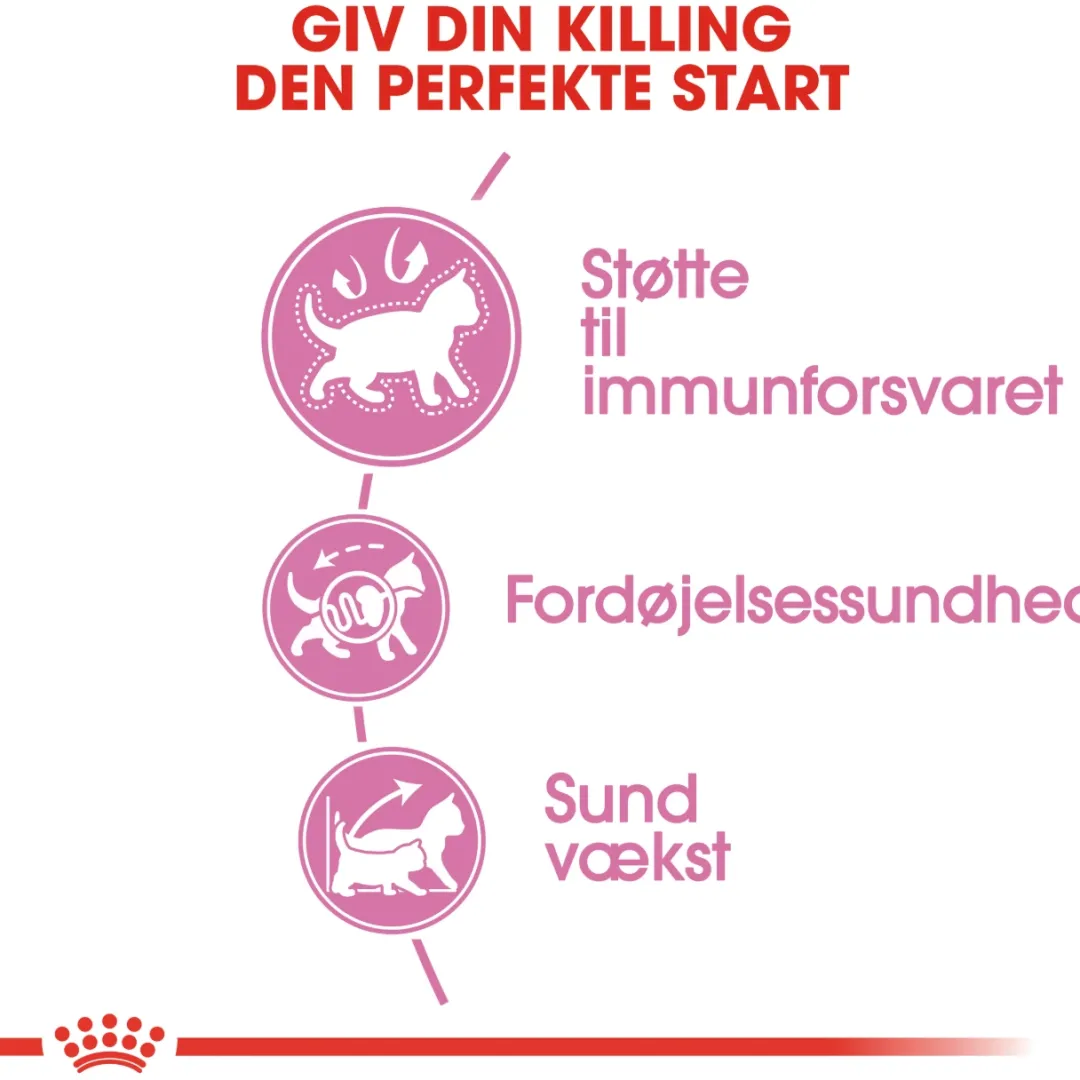 Best Royal Canin Second Age Kitten 4 kg Killingefoder - Sundt Kattefoder Til Killinger I Alle Racer|Kattefoder & Snacks