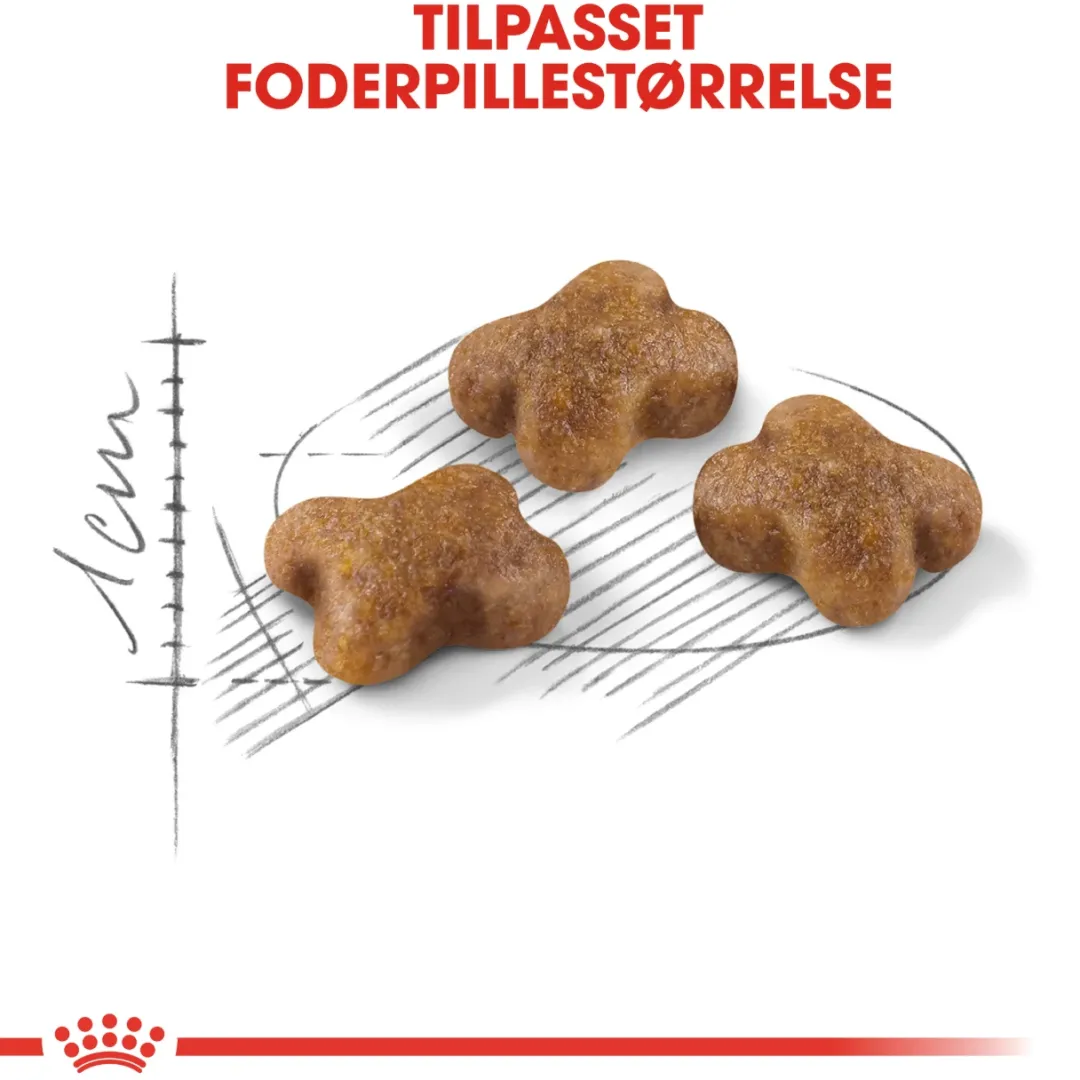 Best Royal Canin Second Age Kitten 4 kg Killingefoder - Sundt Kattefoder Til Killinger I Alle Racer|Kattefoder & Snacks