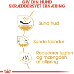 Online Royal Canin Shih Tzu Adult 1,5 kg - tørfoder til små hunde Hundefoder|Tørfoder Til Hunde I Alle Størrelser Og Aldre