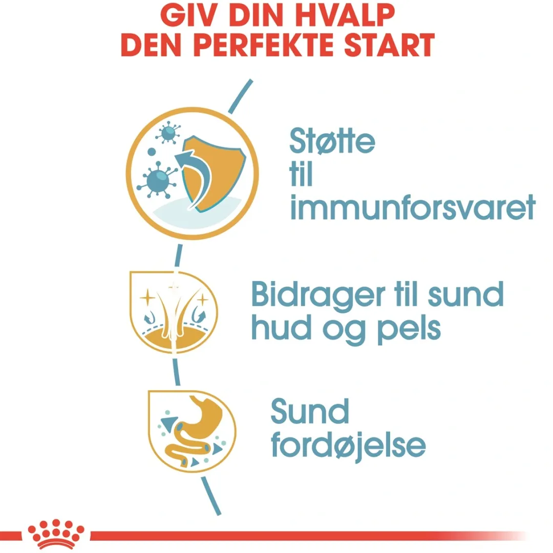 Outlet Royal Canin Shih Tzu Puppy 1,5 kg - tørfoder til hvalpe Hundefoder|Tørfoder Til Hunde I Alle Størrelser Og Aldre