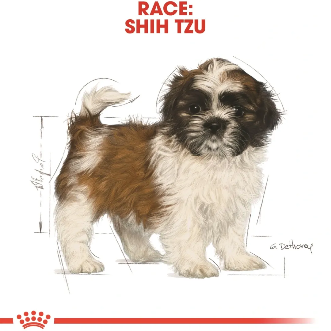 Outlet Royal Canin Shih Tzu Puppy 1,5 kg - tørfoder til hvalpe Hundefoder|Tørfoder Til Hunde I Alle Størrelser Og Aldre