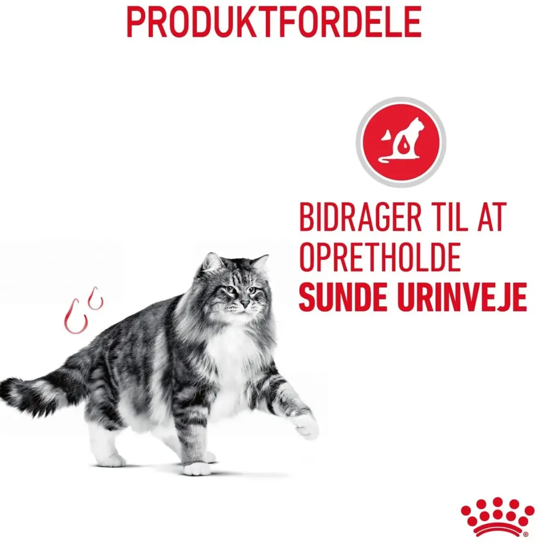 Best Royal Canin Urinary Care 400 gram Kattefoder & Snacks
