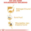 Outlet Royal Canin West Highland White Terrier Adult 1,5 kg - tørfoder til Westie Hundefoder|Tørfoder Til Hunde I Alle Størrelser Og Aldre