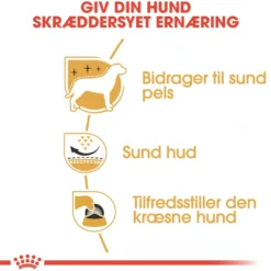 Outlet Royal Canin West Highland White Terrier Adult 1,5 kg - tørfoder til Westie Hundefoder|Tørfoder Til Hunde I Alle Størrelser Og Aldre