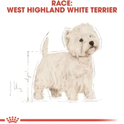 Outlet Royal Canin West Highland White Terrier Adult 3 kg - tørfoder til Westie Hundefoder|Tørfoder Til Hunde I Alle Størrelser Og Aldre