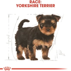 Royal Canin Yorkshire Terrier Puppy 1,5 kg - tørfoder til hvalpe Hundefoder|Tørfoder Til Hunde I Alle Størrelser Og Aldre