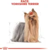 Sale Royal Canin Yorkshire Terrier Adult 7,5 kg - tørfoder til voksne hunde Hundefoder|Tørfoder Til Hunde I Alle Størrelser Og Aldre