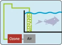 Ozon C300 Ozonisator Uv-Lys Og Ozon Til Akvarier
