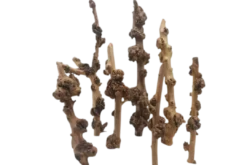 Outlet SavaWood 50-70 cm. x Ø2-5cm Aquascaping|Dekoration Til Terrarier