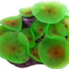New Selvlysende skive anemone Dekoration Til Saltvand