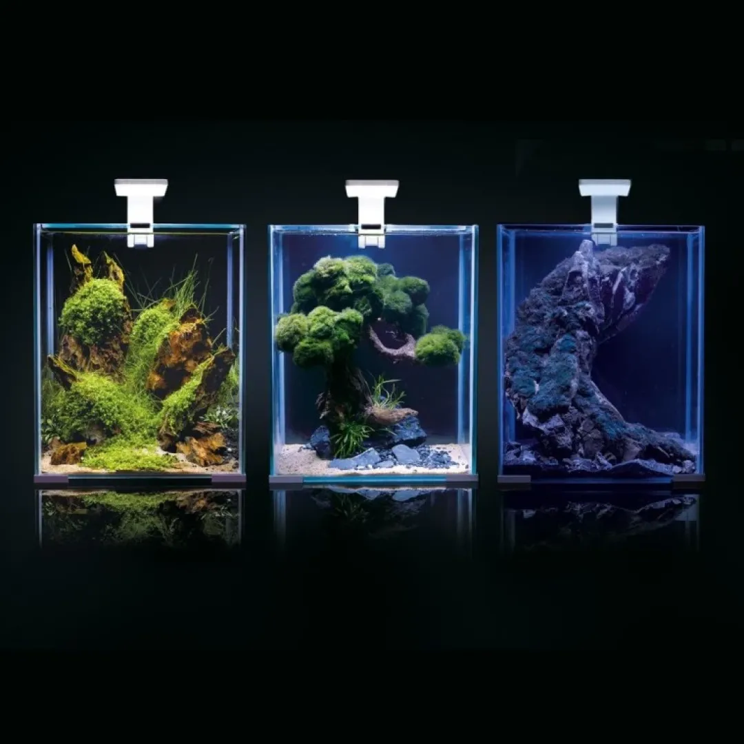 Shrimpset Day and Night 20 L akvarium 25x25x30 cm Sort Akvarier