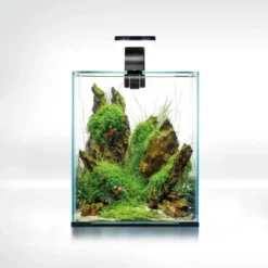 Shrimpset Day and Night 20 L akvarium 25x25x30 cm Sort Akvarier