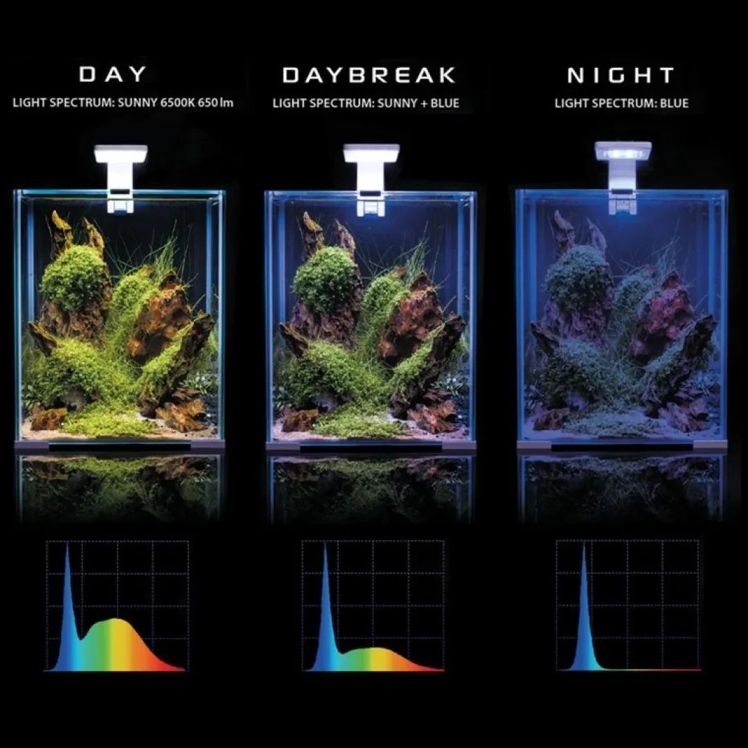 Shrimpset Day and Night 20 L akvarium 25x25x30 cm Sort Akvarier