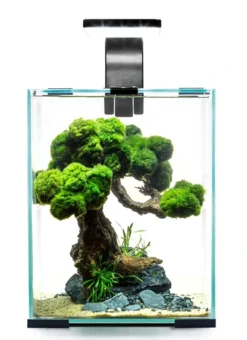 Discount Shrimpset Day and Night 30 L akvarium 29x29x35 cm Sort Akvarier