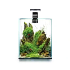 Clearance Shrimpset Day and Night 10 L 20x20x25 cm Sort Akvarier