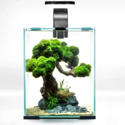 Clearance Shrimpset Day and Night 10 L 20x20x25 cm Sort Akvarier