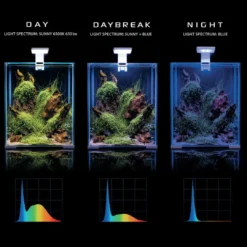 Discount Shrimpset Day and Night 20 L 25x25x30 cm Hvid Akvarier
