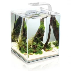 Online Shrimpset Day and Night 30 L 29x29x35 cm Hvid Akvarier