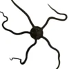 Clearance Slangesøstjerne Ophioderma rubicundum Anemone, Bløddyr Og Snegle Til Saltvand