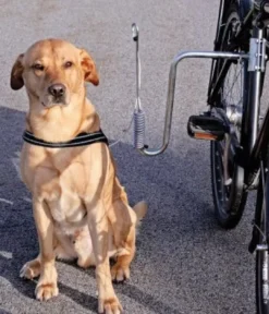New Springer komplet Cykelbeslag Transport Og Adgang Til Hvalpe - Tryg Og Nem Hverdag|Transport Og Adgang For Hunde - Tryg Og Nem Hverdag