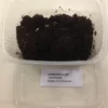 Springhaler - Collembola sp. Foder & Vitaminer Til Krybdyr