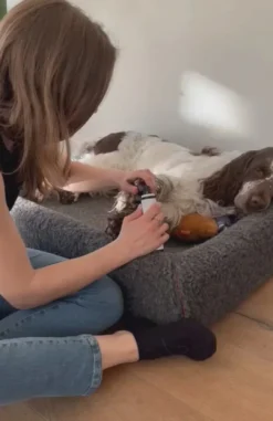 Online Støjsvag Elektrisk Neglesliber til Hunde og Katte Plejemidler Til Katte|Plejemidler Til Hund Med Fokus På Sundhed Og Velvære