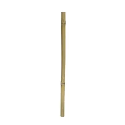 Sale 1 stk Gul bambus 100 cm Ø 2 - 3 cm. Dekoration Til Terrarier
