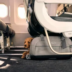 Best TAVO Dupree II Merle - Airline Carry-On og Autostol til Hunde og Katte Transport Og Adgang Til Hvalpe - Tryg Og Nem Hverdag|Transport Og Adgang For Hunde - Tryg Og Nem Hverdag