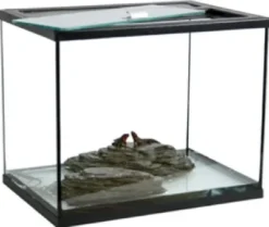Best Terrarium TOPP 39 liter 40x28x35 cm Terrarier Og Terrarielamper