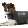 Hot Thundershirt S Plejemidler Til Hund Med Fokus På Sundhed Og Velvære|Pleje Af Hvalpe - Alt I Plejemidler Til Pels, Poter Og Hud