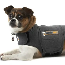 Hot Thundershirt S Plejemidler Til Hund Med Fokus På Sundhed Og Velvære|Pleje Af Hvalpe - Alt I Plejemidler Til Pels, Poter Og Hud
