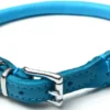 Best Timely halsbånd i rundsyet læder blå 40 cm - skånsom komfort til mellemstore hunde Hvalpehalsbånd - Bløde Og Sikre Halsbånd Med Perfekt Pasform Til Din Hvalp|Hundehalsbånd Med Stil - Komfort Og Sikkerhed Til Din Hund