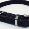 New Timely halsbånd olieret læder sort 12 mm 25 cm - blød styrke til små hunde Hvalpehalsbånd - Bløde Og Sikre Halsbånd Med Perfekt Pasform Til Din Hvalp|Hundehalsbånd Med Stil - Komfort Og Sikkerhed Til Din Hund