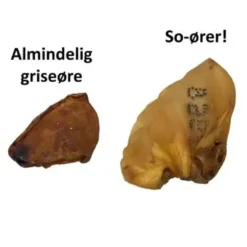 Online So øre XXL 1 stk - Naturligt tyggeben Snacks Til Hvalpe - Lækre Godbidder Til Træning Og Forkælelse|Hundeguf Og Tyggeben Til Hunde