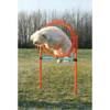 Sale Agility Ring - sjov træning til hunde Hundelegetøj Til Alle Hunde Leg Og Aktivering Året Rundt|Legetøj Til Hvalpe - Sjov Leg, Aktivering Og Tryghed Fra Første Dag