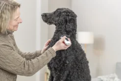 Sale hunde klippemaskine til batteri TR1600 Plejemidler Til Hund Med Fokus På Sundhed Og Velvære