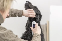 Sale hunde klippemaskine til batteri TR1600 Plejemidler Til Hund Med Fokus På Sundhed Og Velvære