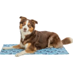 kølemåtte med mønster lyseblå 65 x 50 cm Hundesenge Og Kurve Til Hunde - Bløde Og Komfortable|Sovepladser Til Hvalpe - Hundesenge, Kølemåtter Og Trygge Hvilesteder