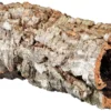 Sale korkrør Ø 14 cm (medium) Dekoration Til Terrarier