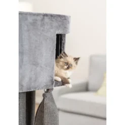 Sale Kradsetræ Kattetårn Active med klatrerampe 122 cm Kradsetræer Og Klatremøbler Til Kat