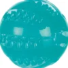 Hot Mintfresh Bold Ø 6 cm - tandrensende bold med mintsmag Hundelegetøj Til Alle Hunde Leg Og Aktivering Året Rundt|Legetøj Til Hvalpe - Sjov Leg, Aktivering Og Tryghed Fra Første Dag